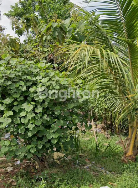 image TANAH DI PURI GADING DEKAT GWK DAN SIDEWALK JIMBARAN (3)