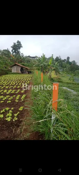image TANAH LEMBANG 9.455M² SIAP BANGUN VIEW CANTIK DEKAT THE GAIGA HOTEL (5)