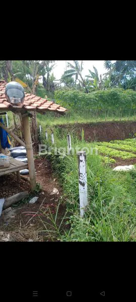 image TANAH LEMBANG 9.455M² SIAP BANGUN VIEW CANTIK DEKAT THE GAIGA HOTEL (6)