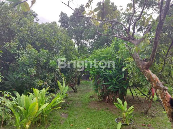 image HUNIAN IDEAL UNTUK KELUARGA BAHAGIA (5)