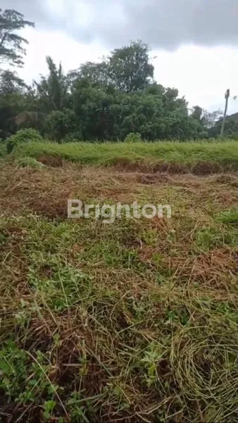 image TANAH SHM 500M2 SIAP BANGUN VILLA, KABA KABA, TABANAN (1)