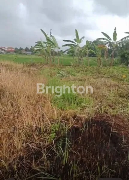 image TANAH SHM 500M2 SIAP BANGUN VILLA, KABA KABA, TABANAN (3)