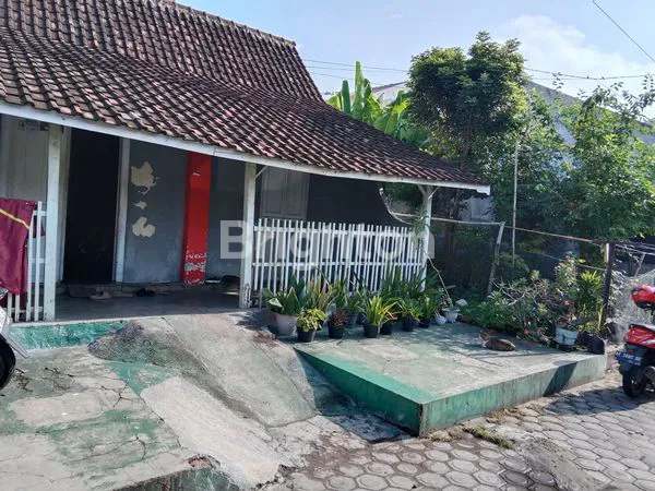 image RUMAH LAWAS MADIUN (1)