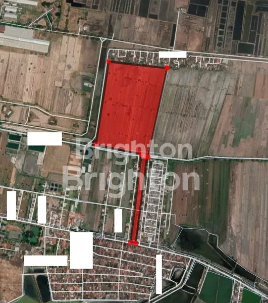 image JUAL TANAH GISIK CEMANDI.MURAH (1)