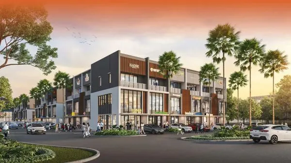 Image THE HIVE - TANAMERA VANTAGE