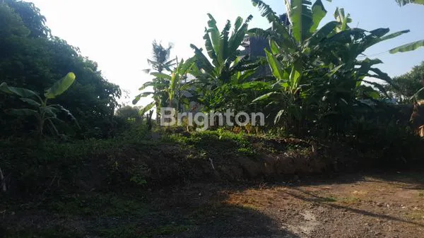 image TANAH MURAH DENGAN PEMANDANGAN SAWAH DAN LAUT DI GIANYAR (1)