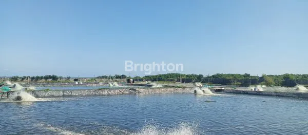 image MASIH OPERASIONAL | CIPATUJAH, TASIKMALAYA (4)