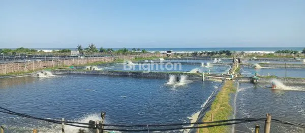 image MASIH OPERASIONAL | CIPATUJAH, TASIKMALAYA (6)