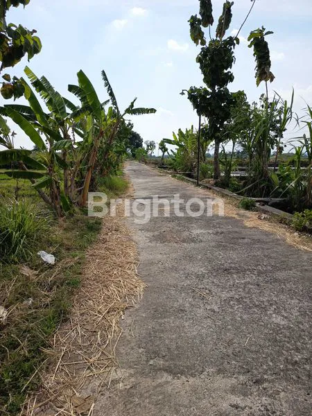 image INVESTASI SAWAH MURAH SHM 2.250M² (4)