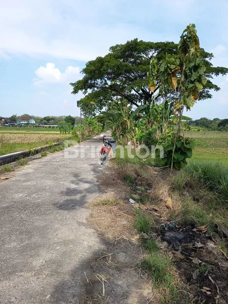 image INVESTASI SAWAH MURAH SHM 2.250M² (3)