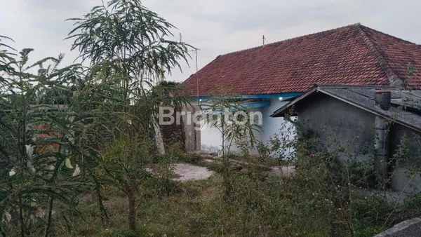 image VILLA PRIGEN KELURAHAN SUKORENO PANDAAN KABUPATEN PASURUAN (7)