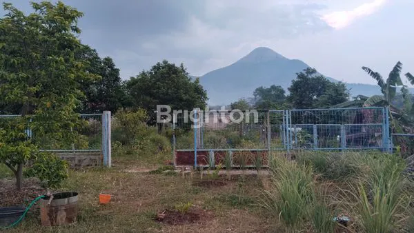 image VILLA PRIGEN KELURAHAN SUKORENO PANDAAN KABUPATEN PASURUAN (5)