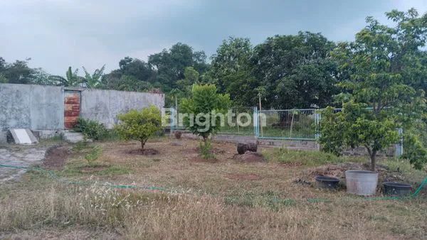 image VILLA PRIGEN KELURAHAN SUKORENO PANDAAN KABUPATEN PASURUAN (6)