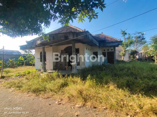 image DIJUAL RUMAH LOKASI STRATEGIS DEKAT PABRIK2 INDUSTRI DIDAERAH DUSUN PURWODADI , WONOKOYO,PASURUAN  (2)