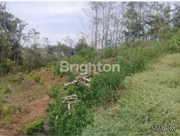 image TANAH LAHAN UNTUK CLUSTER CINANJUNG - JATINANGOR (1)