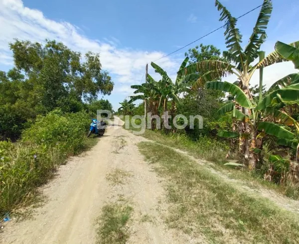 image DIJUAL TANAH DI TANJUNG REJO DELI SERDANG (4)