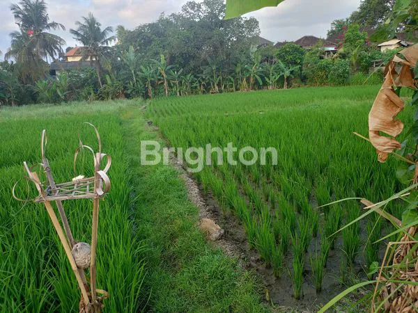 image TANAH 13,2 ARE VIEW PANTAI DI TIBUBIYU (2)