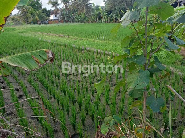 image TANAH 13,2 ARE VIEW PANTAI DI TIBUBIYU (6)