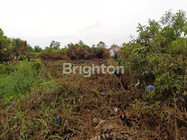 image LAHAN STRATEGIS SHM 4.306M² LANGSA (1)