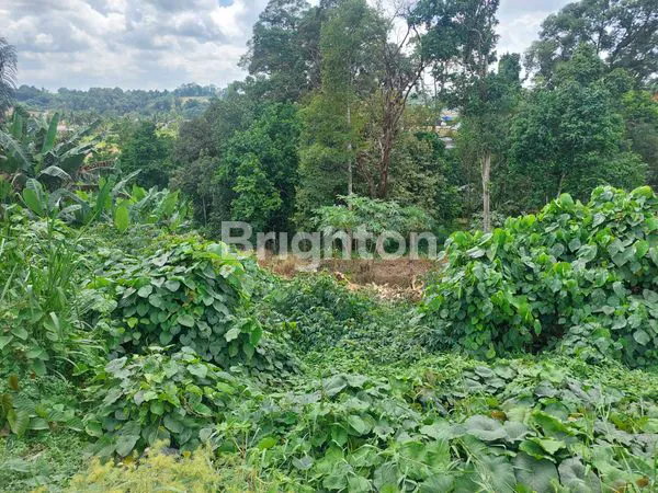 image LAHAN STRATEGIS 7000M², HARGA PROMO (3)