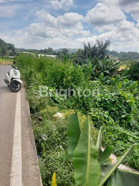 image LAHAN STRATEGIS 7000M², HARGA PROMO (2)