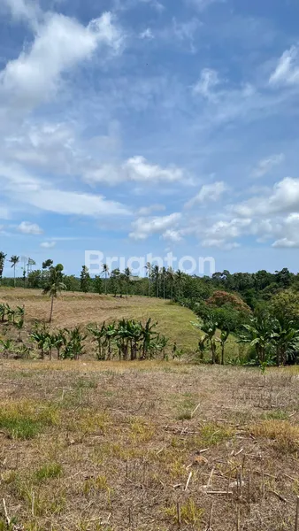image LAHAN PREMIUM SELUAS 5 HA DI BANDAR DALAM, SIDOMULYO, LAMPUNG SELATAN (2)