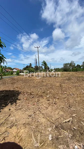 image LAHAN PREMIUM SELUAS 5 HA DI BANDAR DALAM, SIDOMULYO, LAMPUNG SELATAN (3)