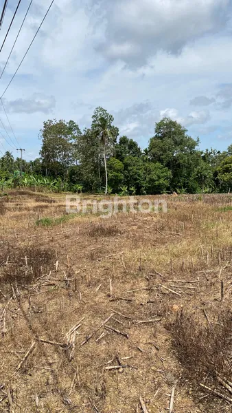 image LAHAN PREMIUM SELUAS 5 HA DI BANDAR DALAM, SIDOMULYO, LAMPUNG SELATAN (8)