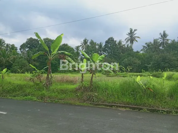 image DIJUAL TANAH LOK STRATEGIS (1)