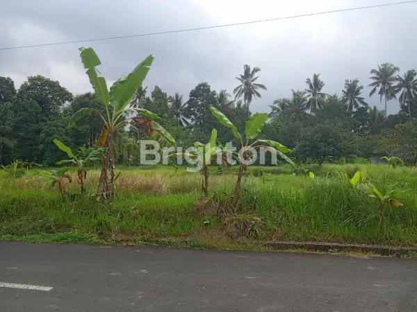 image DIJUAL TANAH LOK STRATEGIS (4)