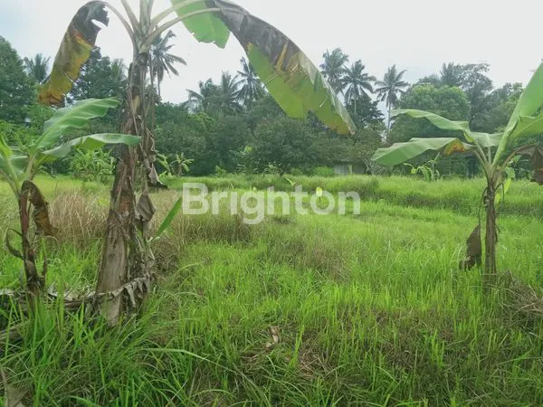 image DIJUAL TANAH LOK STRATEGIS (5)