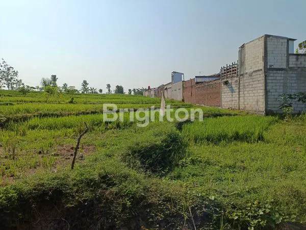 image TANAH LUAS SAWAH AKTIF DI AREA MOJOPURNO KABUPATEN MADIUN! (2)