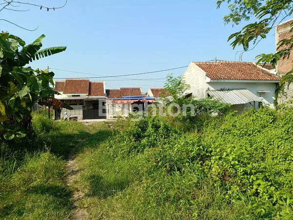 image TANAH LUAS SAWAH AKTIF DI AREA MOJOPURNO KABUPATEN MADIUN! (1)
