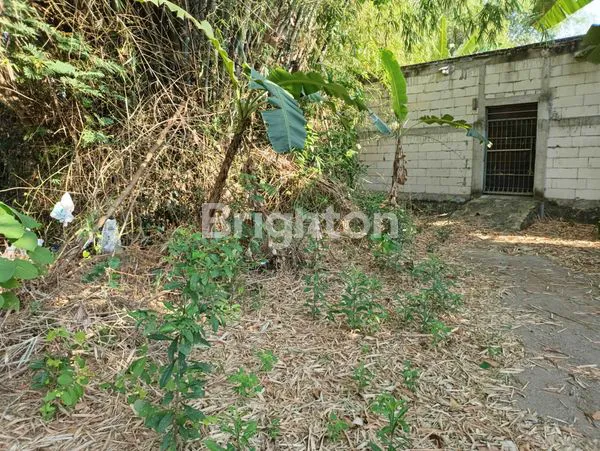 image TANAH LUAS 1459M² DEKAT PASAR KOJO MADIUN (6)