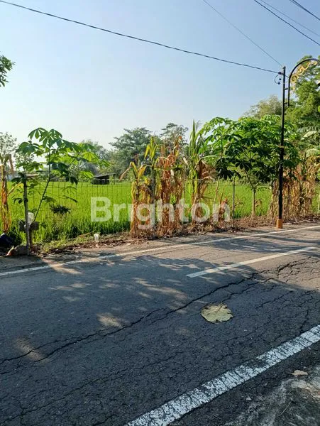 image TANAH LUAS 1459M² DEKAT PASAR KOJO MADIUN (2)