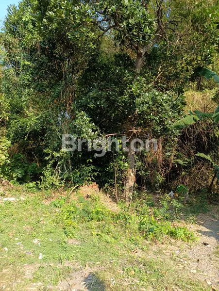 image TANAH LUAS 1459M² DEKAT PASAR KOJO MADIUN (8)