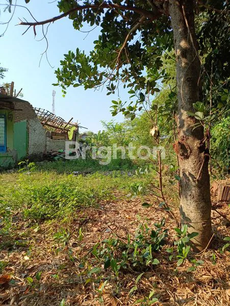 image TANAH LUAS 1459M² DEKAT PASAR KOJO MADIUN (7)