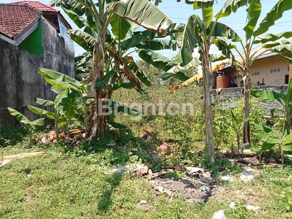 image TANAH DIJUAL LOKASI BATAKAN, BALIKPAPAN TIMUR  (1)