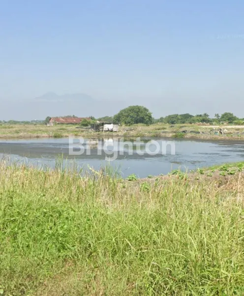 image TANAH 0 JALAN COCOK UNTUK PERUMAHAN DI SEDATI (1)