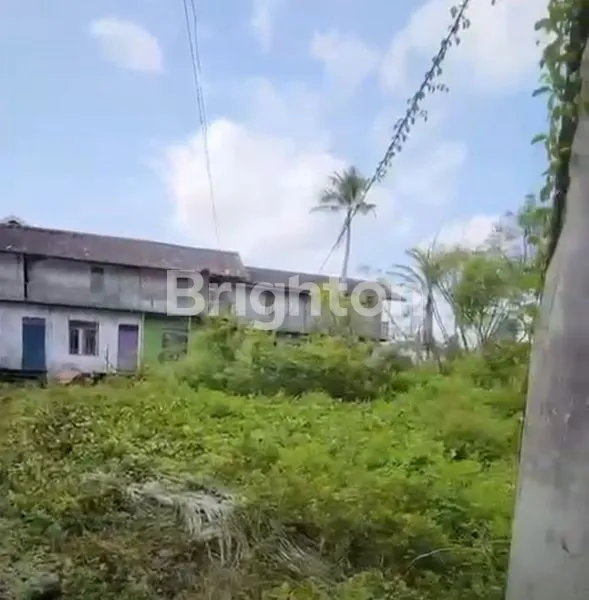 image DIJUAL TANAH DAN BANGUNAN (5)