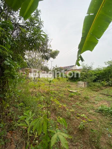 image DIJUAL 2 UNIT RUMAH TINGGAL DIATAS LAHAN 1113M² (8)