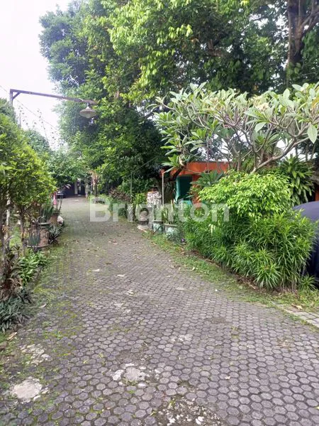 image RUMAH DENGAN DESIGN CLASIK DENGAN HALAMAN LUAS DAERAH LEBAK BULUS, JAKARTA SELATAN (5)