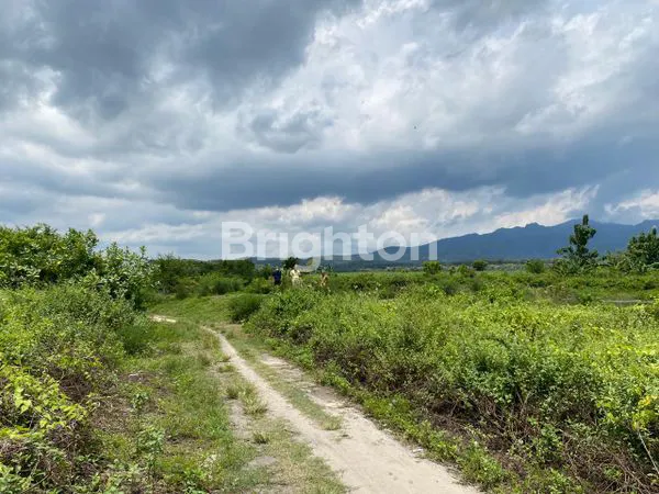 image TANAH LUAS JALAN PROVENSI TUBAN REMBANG JAWA TENGAH (3)