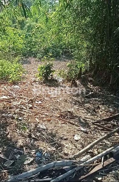 SEWA TANAH PREMIUM BINGIN