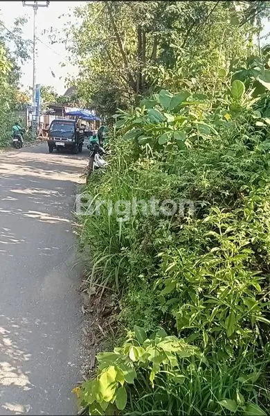 image SEWA TANAH PREMIUM BINGIN (4)