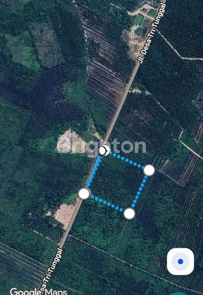 image LAHAN 4 HEKTAR BERPOTENSI BATUBARA (1)