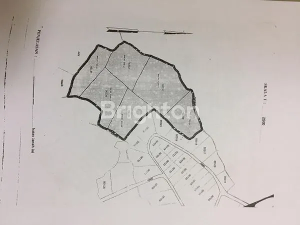 image DIJUAL PERUSAHAAN PETERNAKAN SAPI IMPOR BERIKUT DENGAN PERIJINANYA (2)