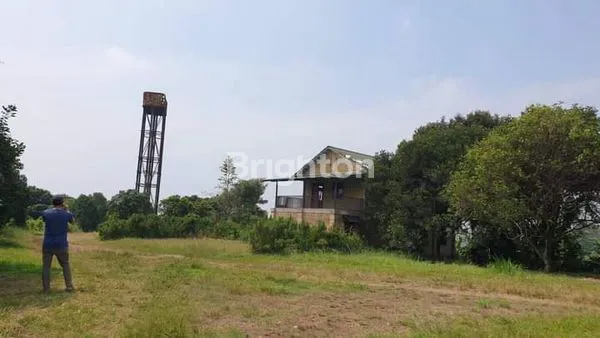 image DIJUAL PERUSAHAAN PETERNAKAN SAPI IMPOR BERIKUT DENGAN PERIJINANYA (4)