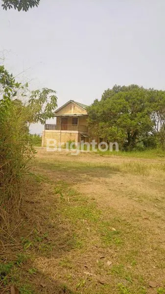 image DIJUAL PERUSAHAAN PETERNAKAN SAPI IMPOR BERIKUT DENGAN PERIJINANYA (5)