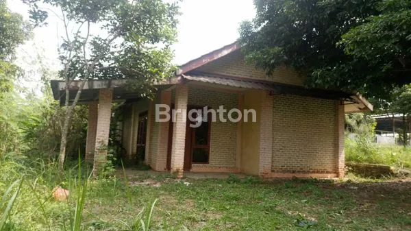 image DIJUAL PERUSAHAAN PETERNAKAN SAPI IMPOR BERIKUT DENGAN PERIJINANYA (6)